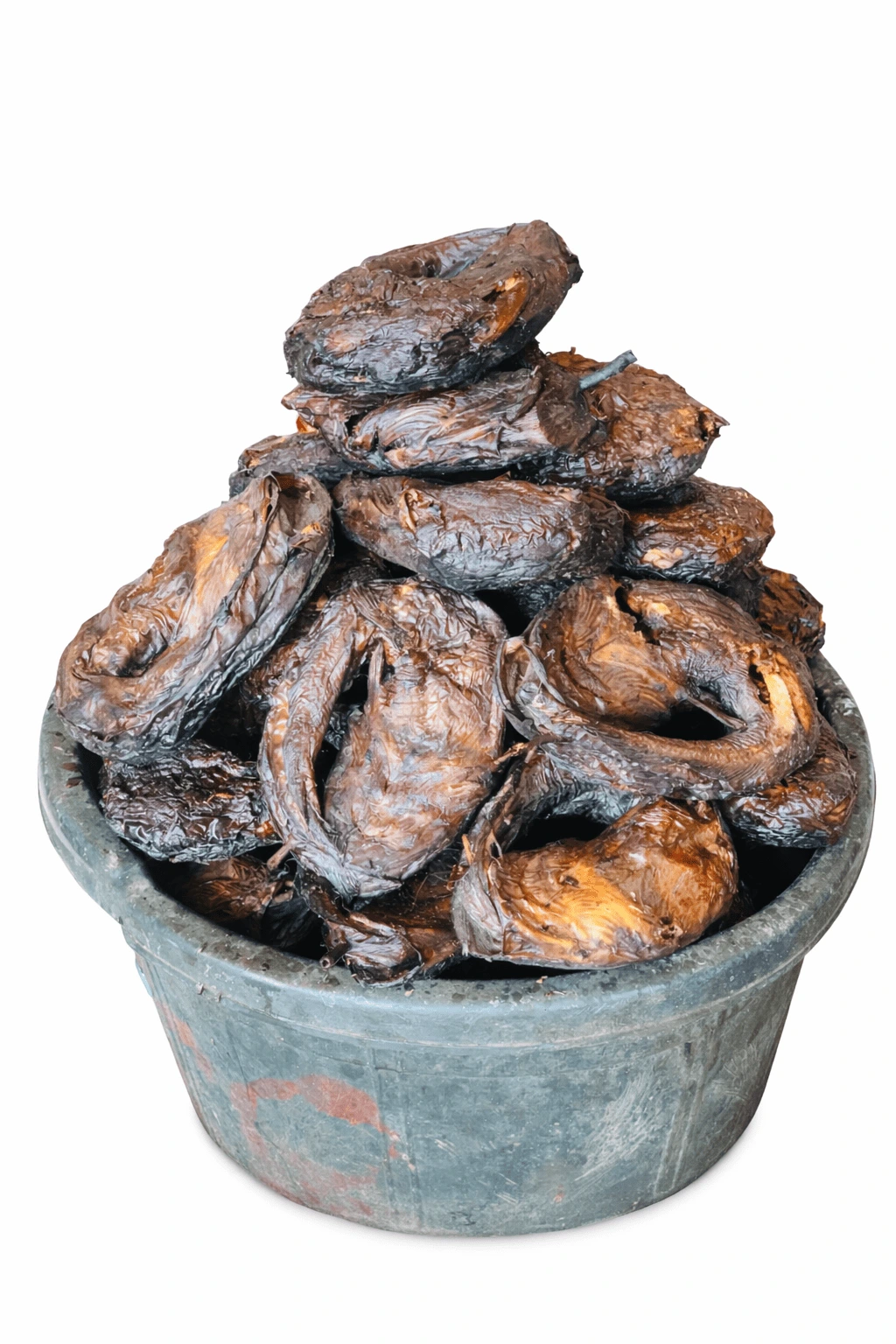 Wholesale large smoked fish